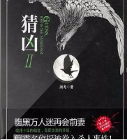 猜凶2