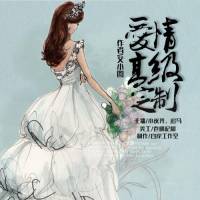 爱情高级定制(强强甜宠多人剧)