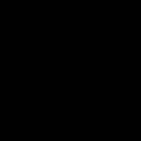 西安大案-破案纪实文学