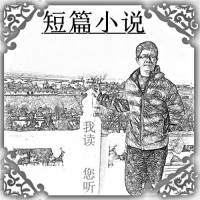 优秀小说（短）