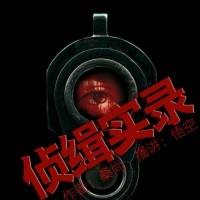 奇异罪案 侦缉实录
