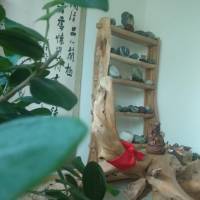 《經濟一一風雲》石墨老人