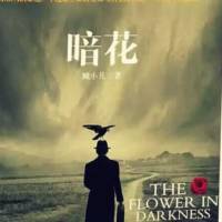 暗花 （谍战小说）