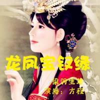 龙凤宝钗缘（精装版）