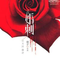 婚刺-云天河