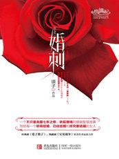 都市情感小说《婚刺》