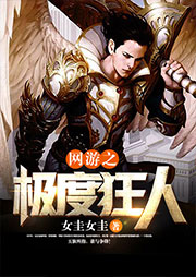 网游之极度狂人（第二部）