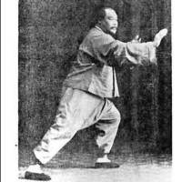 杨氏太极经典