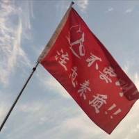 2019年度四川导游词+200问