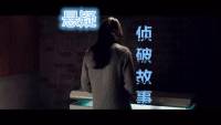 悬疑侦破故事集