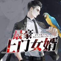 最豪上门女婿|赘婿免费有声小说