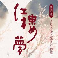 红楼梦丨广播剧