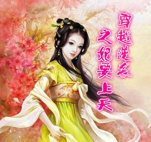 穿越逆袭之妃要上天