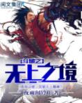 斗破之无上之境｜斗破苍穹续集